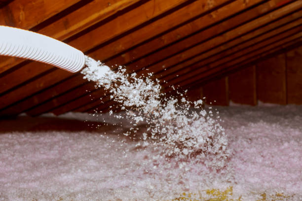 Best Insulation Installation Services in Mountain Home Af, ID