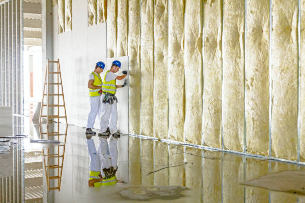 Best Residential Insulation in Mountain Home Af, ID